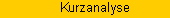 Kurzanalyse